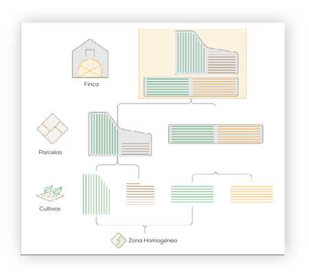Estructura de la Finca