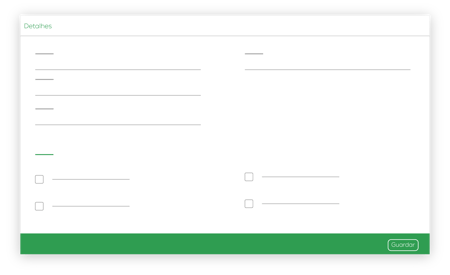 Conexões - Entidades - Empresas - Adicionar Novo - Detalhes